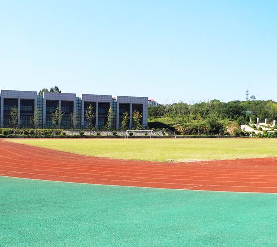 epdm塑膠地坪廠_塑膠場地安裝_硅pu球場施工-鑫達豐足體育設施工程