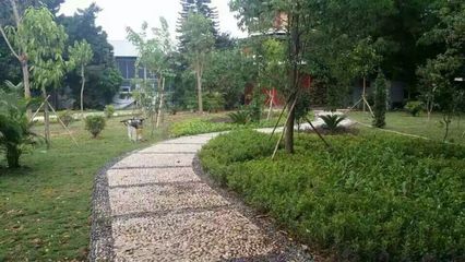 園林綠化知識