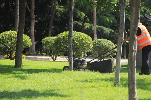 風景園林施工涉及哪些技術