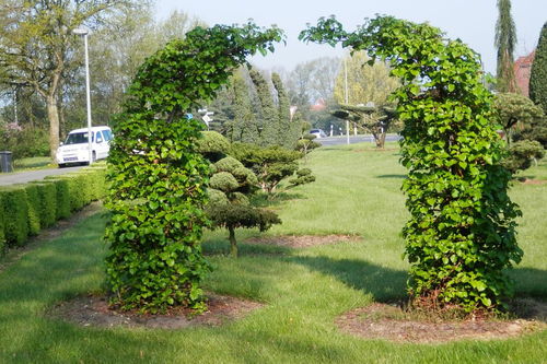 園林綠化施工員都需要考哪些證