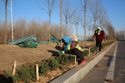 濱州33項(xiàng)園林綠化新建續(xù)建工程本月底前全面開工