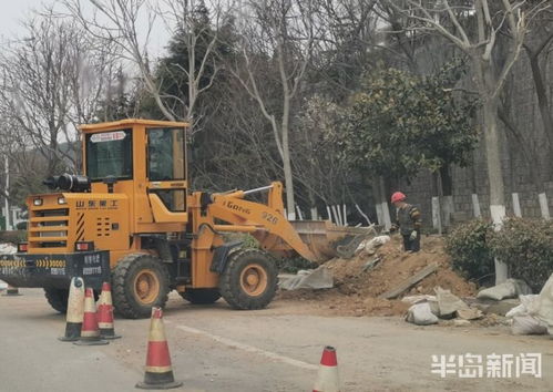 青島市區(qū)園林綠化工程有序復(fù)工，施工人員忙碌建設(shè)美麗家園