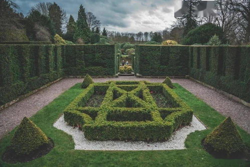 先地下，后地上 園林工程交叉施工的科學(xué)管理策略