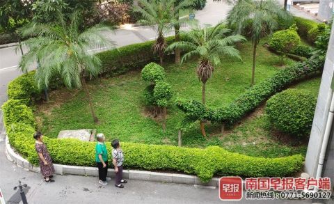 南寧綠化工人五年匠心打造動物世界主題園林，綠色藝術驚艷全城